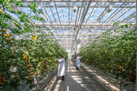Vertical Farm Hengshui